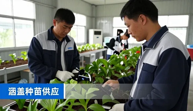 高效种苗包如何适应不同应用环境