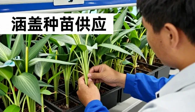 苏州新瑞生物科技有限公司介绍智能农机租赁在涵盖种苗供应中的应用